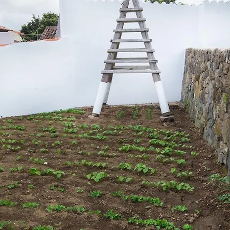 Tatil Evi Casa Do Morro By Pontanegraazores *